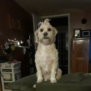 Meet your Posher, Terry